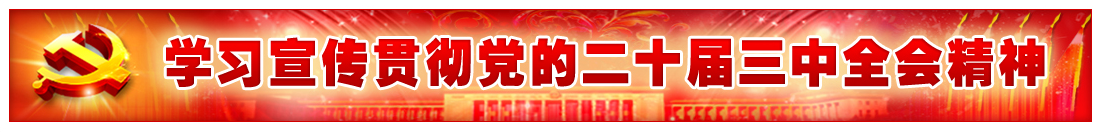 學習宣傳貫徹黨的二十屆三中全會精神